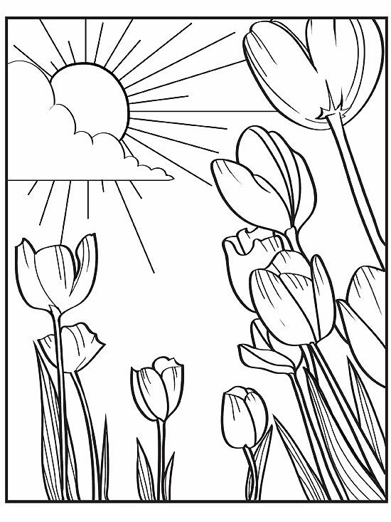 Printable Spring Coloring Pages