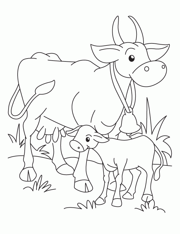 Cow and Calf coloring page | Download Free Cow and Calf coloring 
