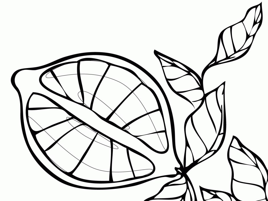 Plant Leaves Coloring Page