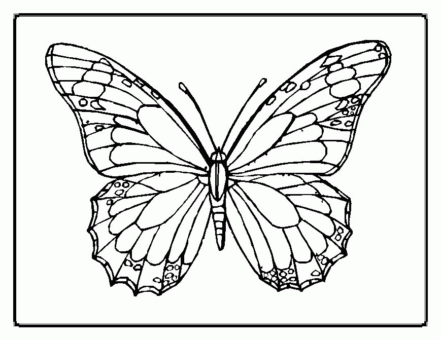 Butterfly Coloring Pages - Free Printable Coloring Pages | Free 
