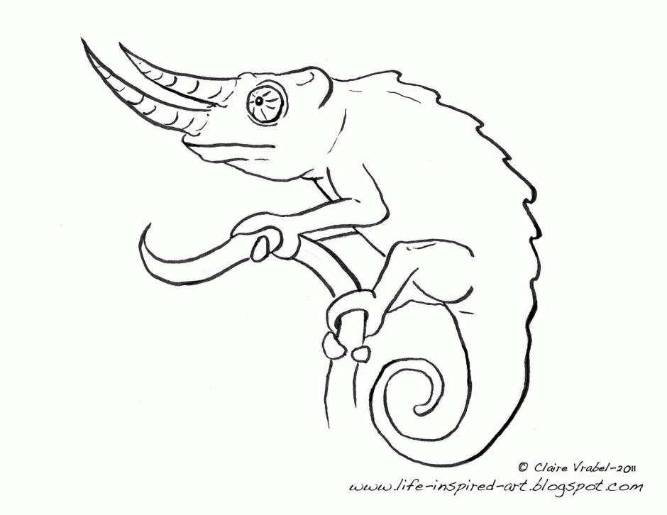 Mixed Up Chameleon Coloring Page Coloring Pages Amp Pictures 