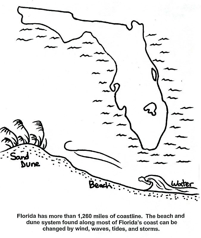 florida state Colouring Pages (page 3)