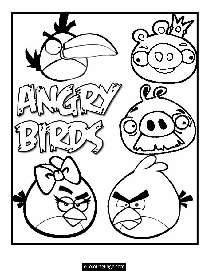 Angry Birds and Pigs Printable Coloring Page | eColoringPage.com 