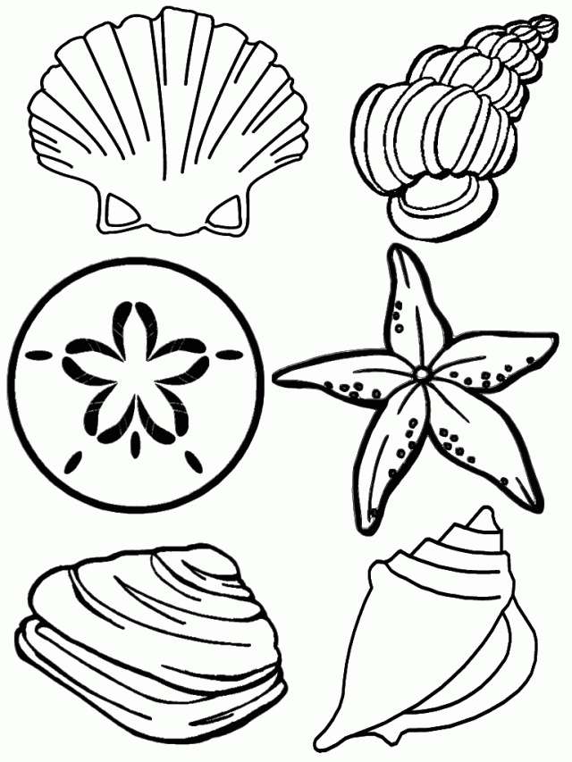 Sea Animals Coloring Pages Realistic Sea Animal Coloring Pages 