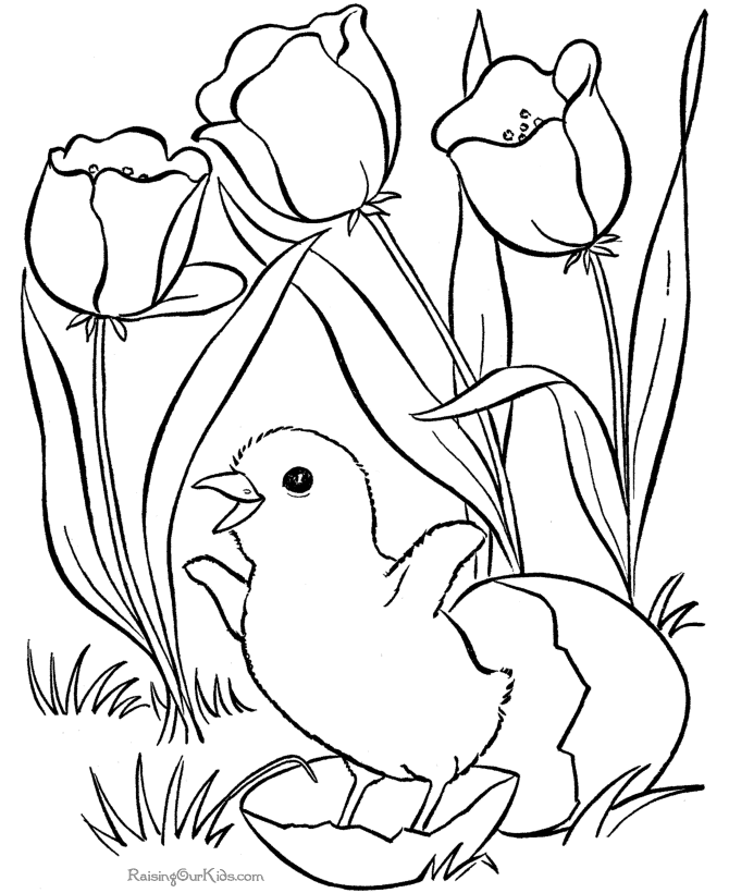 Kids Coloring Pages | Printable Coloring Sheet