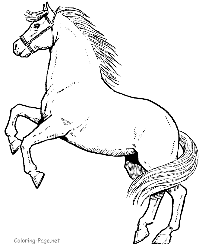 Horse Coloring Pages For Silhouette | Craft Machine Projects | Pinte…