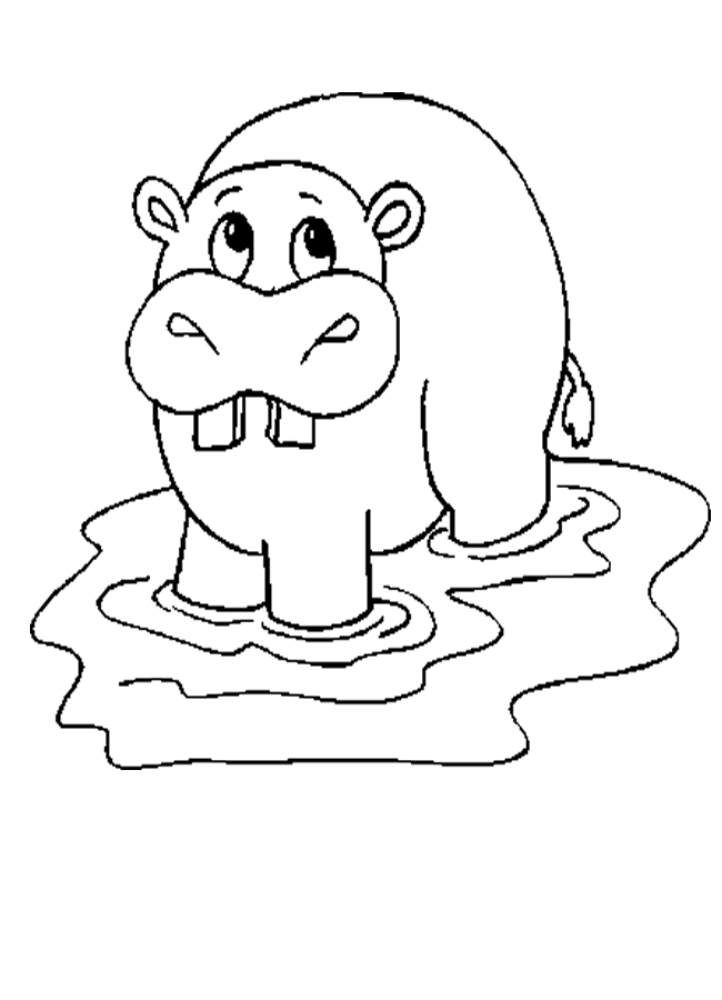 Hippopotamus Coloring Pages - Free Printable Coloring Pages | Free 