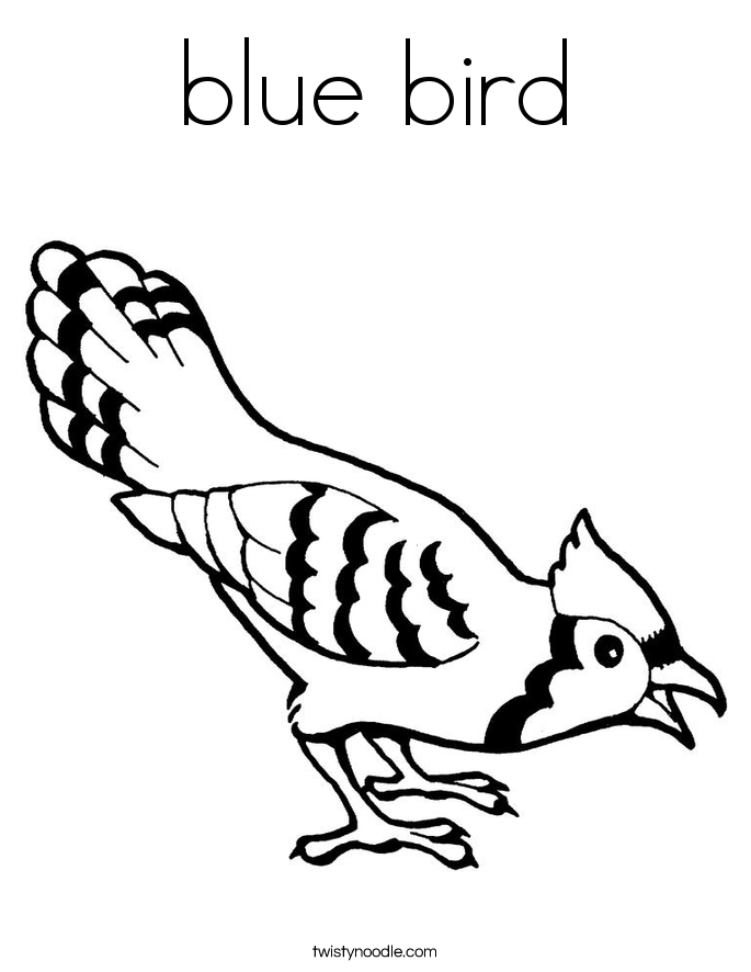 Coloring Pages Bird Nest Coloring Page Coloring Animal Coloring 