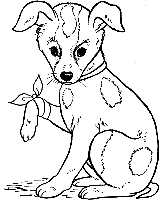 top dog Colouring Pages