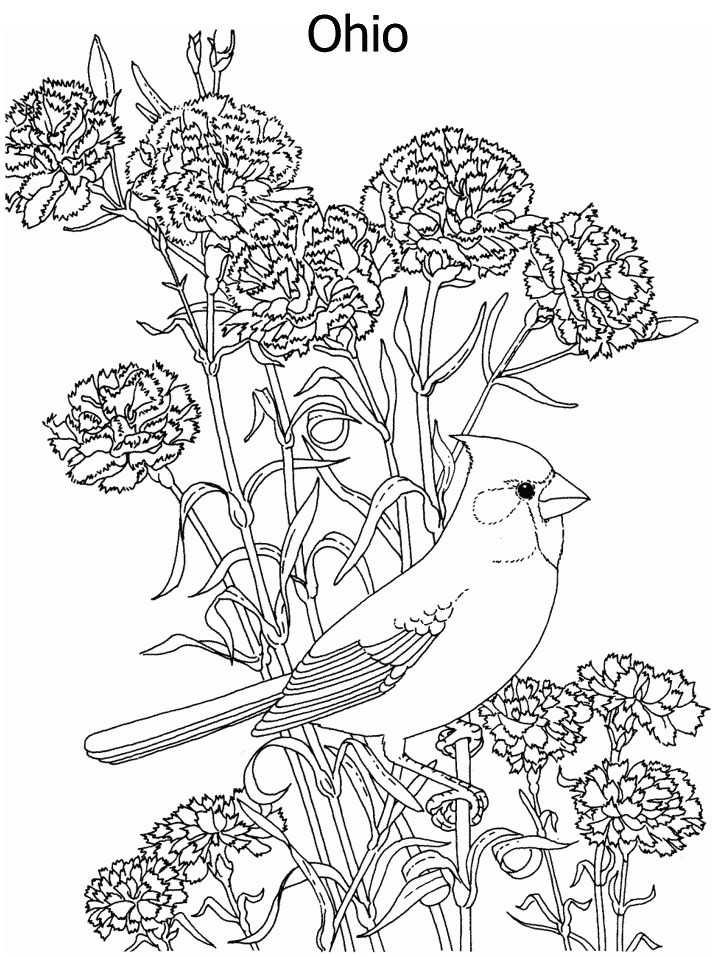Flower Printable Coloring Pages | Printable Coloring Pages