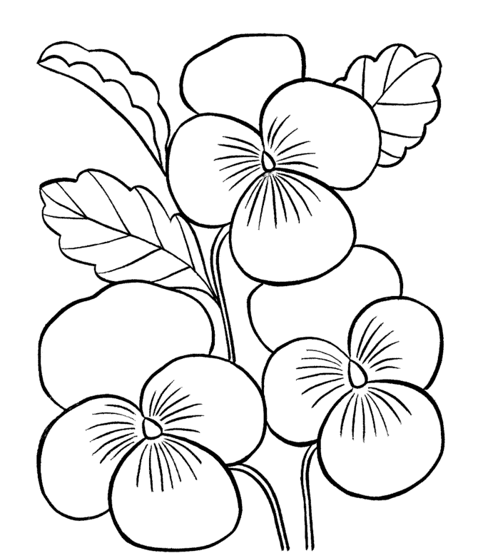 printable coloring pages fullcoloringpages com