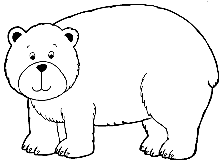 Animal Coloring The Bear Colouring Pages Bear 10 Coloring Page 