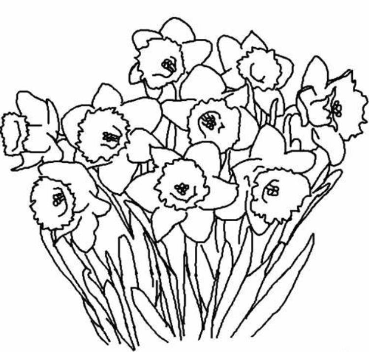 Print Spring Flowers Coloring Pages Kids Or Download Spring 