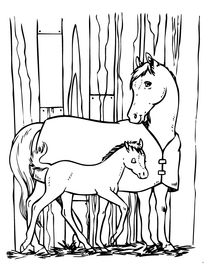 Horse And Pony Coloring Page | HM Coloring Pages