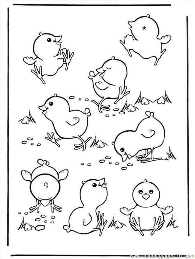 printable coloring page ng pages easter chicken birds chick 