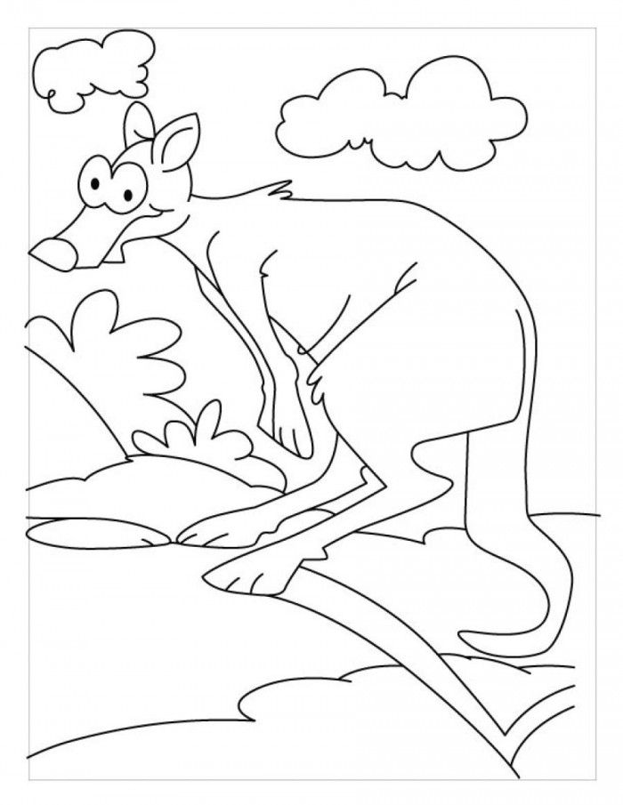 Kangaroo Habitat Coloring Pages
