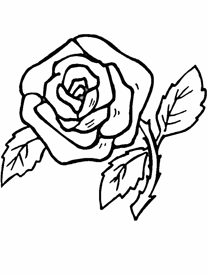 Parts Of A Flower Coloring Page | Flowers Coloring Pages | Kids 