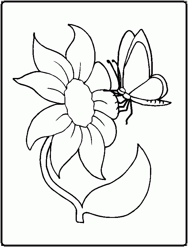 Flower And Butterfly Coloring Pages Pinterest - Flowers Coloring 