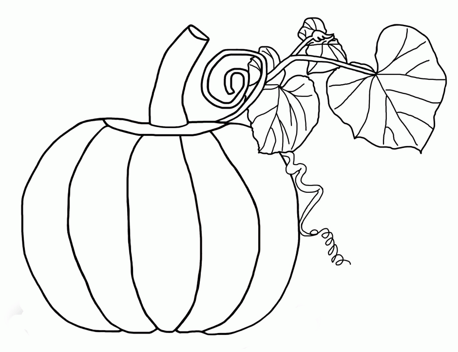 Maple Leaf Coloring Pages Homeschool Stuff Pinterest 295875 Leaf 