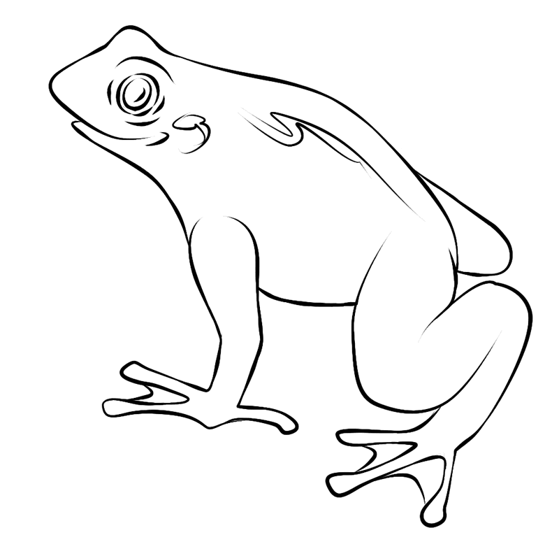Frog Coloring Pages 789 | Free Printable Coloring Pages