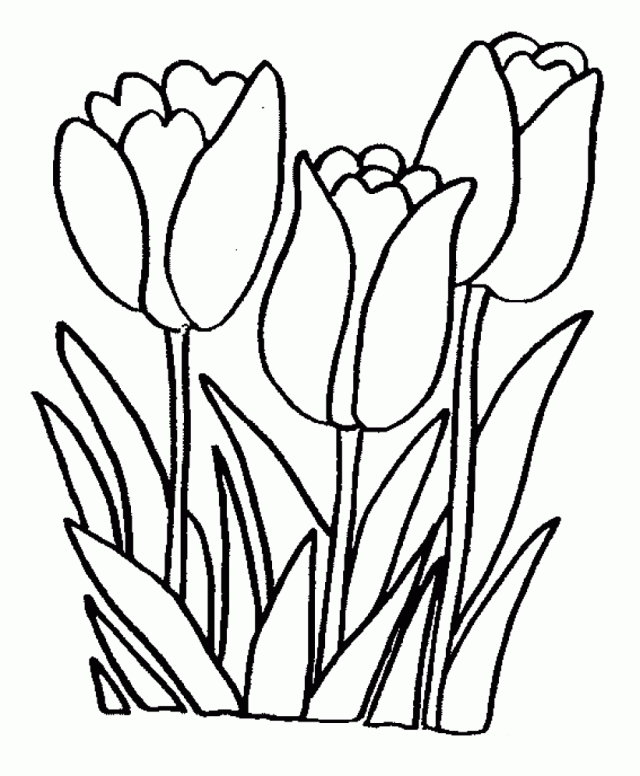 Printable Coloring Pages Flowers Color With Fun Printable 105195 
