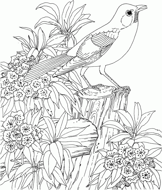 Very Hard Pokemon Coloring Pages Printable Coloring Sheet 290284 