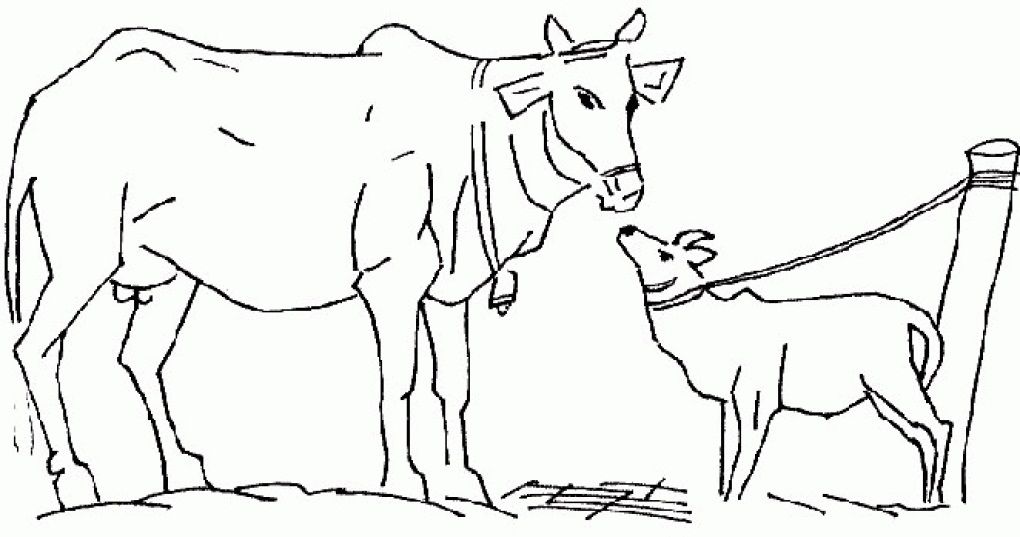 cute cow coloring page : Printable Coloring Sheet ~ Anbu Coloring 