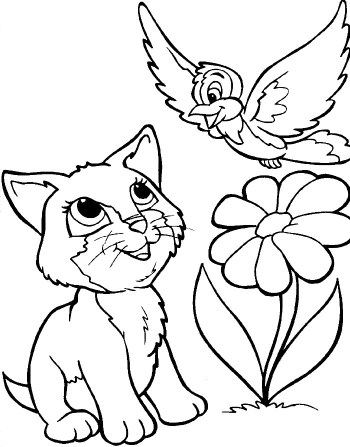 A Cat And Bird Coloring For Kids - animal Coloring Pages : Free 