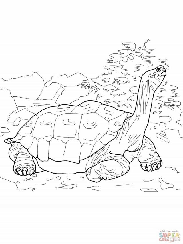 Black Panther Colouring Pages Page Id 96509 Uncategorized Yoand 