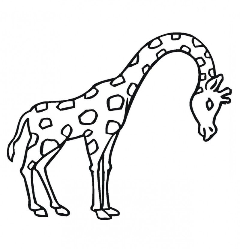 Giraffe Coloring Pictures To Print - Kids Colouring Pages