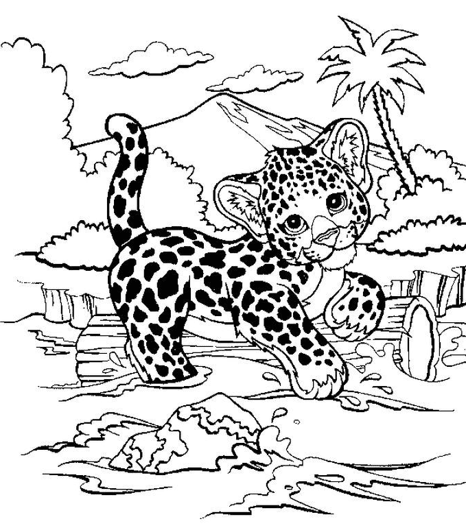 Cheetah Coloring Pages - Coloring Pages For Kids And Adults