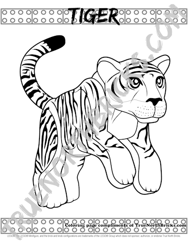 Tiger Coloring Page - Free for a limited time - True North Bricks