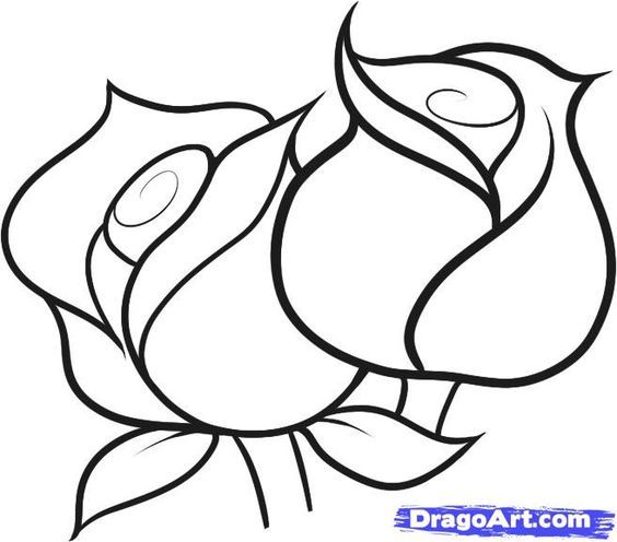 How to draw, To draw and How to draw roses