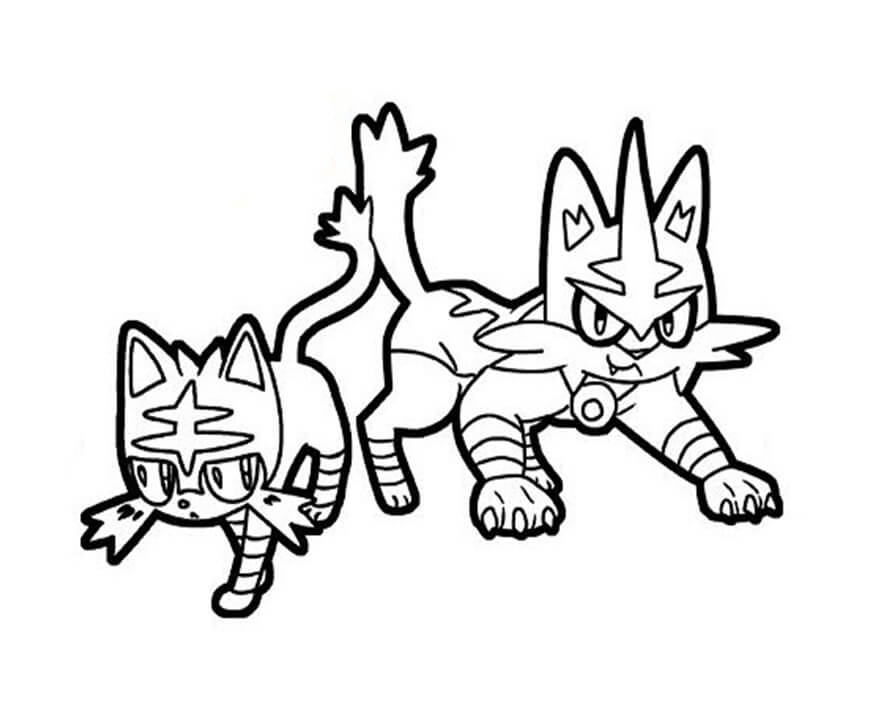 Torracat Pokemon 3 Coloring Page - Free Printable Coloring Pages for Kids