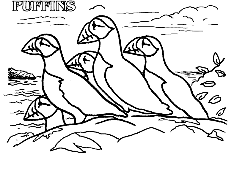 Puffin coloring page - Animals Town - Free Puffin color sheet