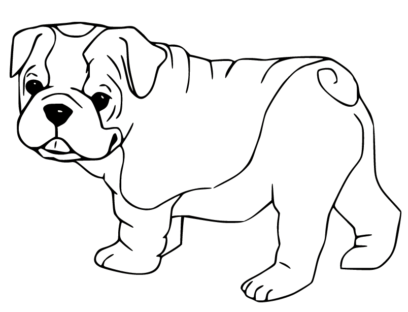 Cute Baby Bulldog Coloring Pages - Bulldog Coloring Pages - Coloring Pages  For Kids And Adults