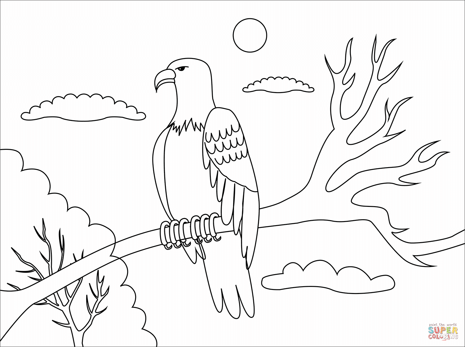 Bald Eagle coloring page | Free Printable Coloring Pages