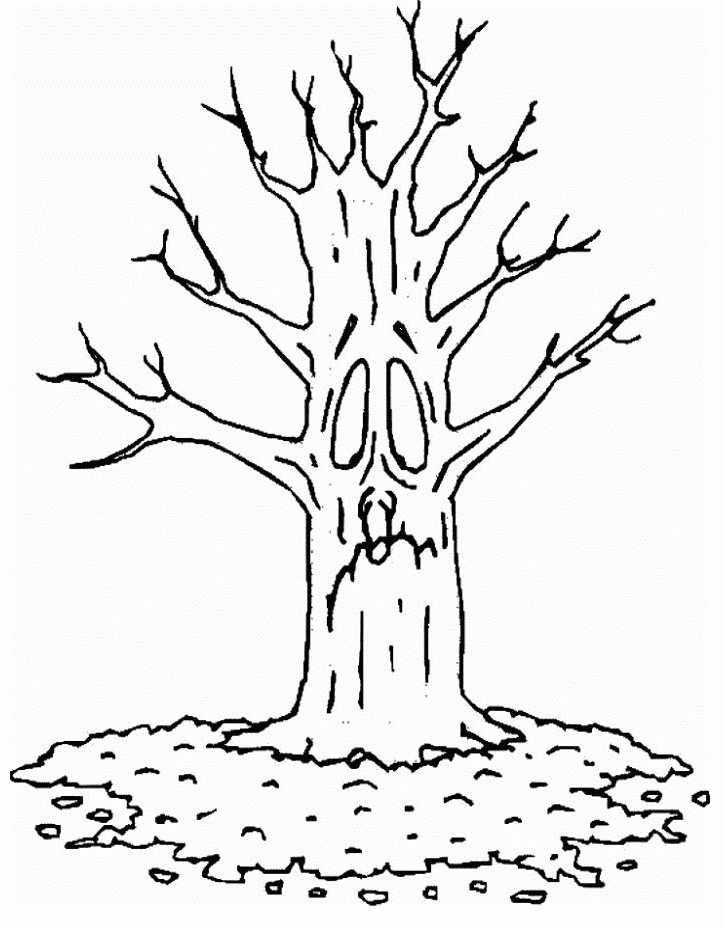 Tree without leaves Colouring Pages