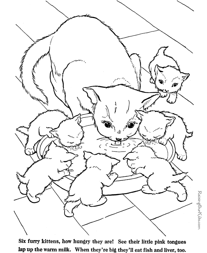 farm animal coloring page cat to print and color