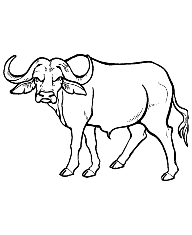 African Animals Coloring Pages