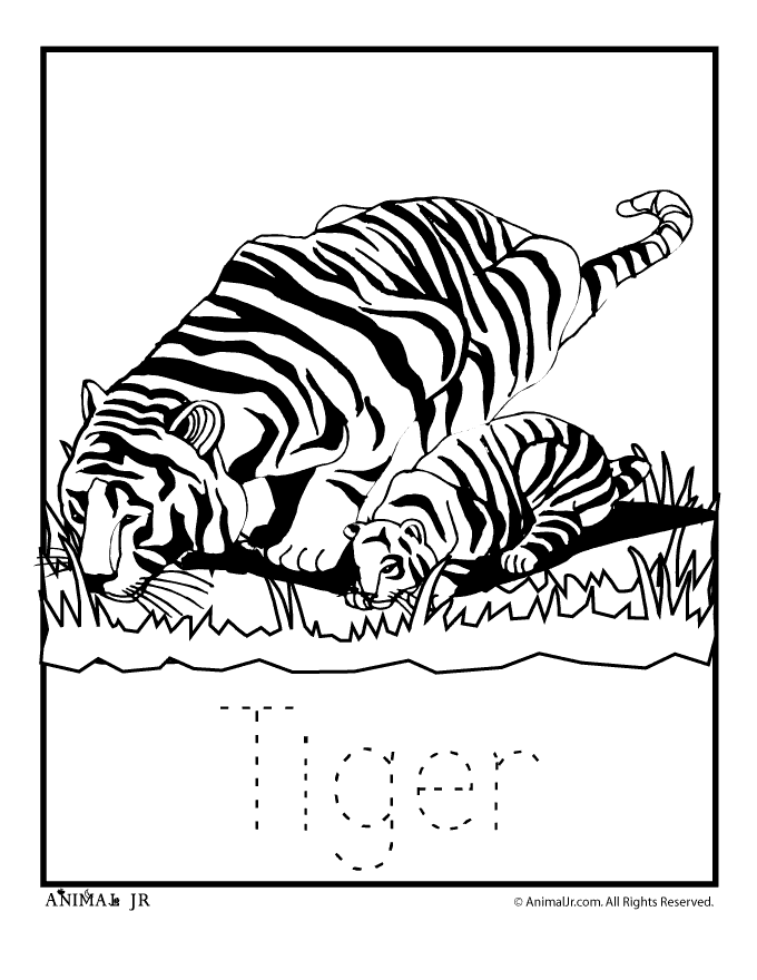 zoo animal coloring pages: mellos