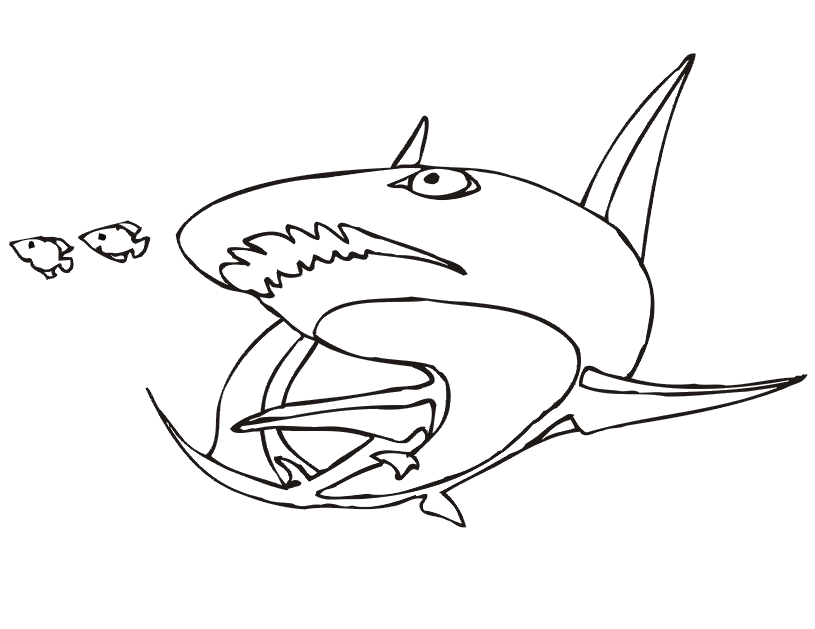 Shark Coloring Page. Shark Turning Around - Coloring Nation