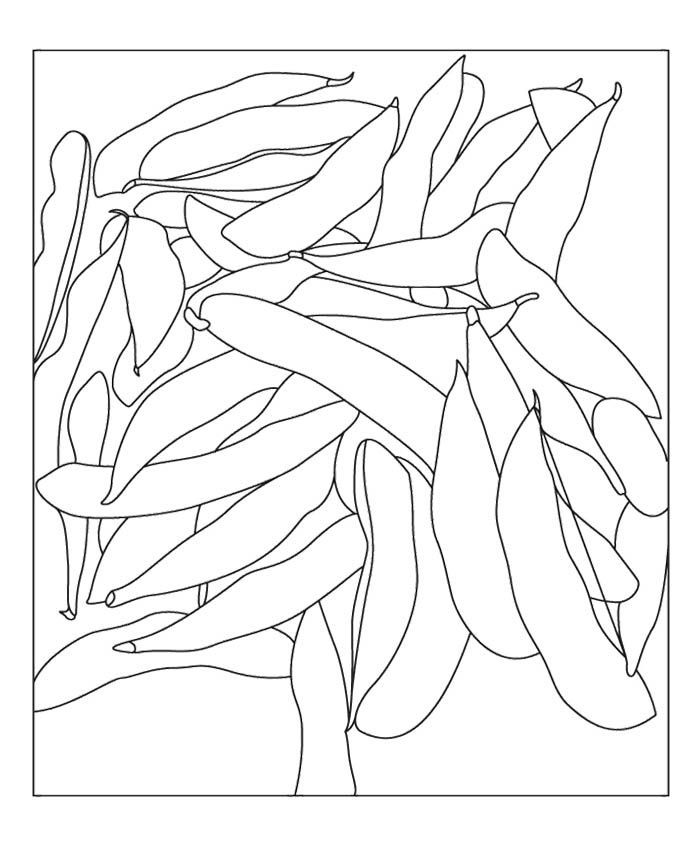 Bean Day Coloring Pages : Many Soybeans Coloring Page Kids 