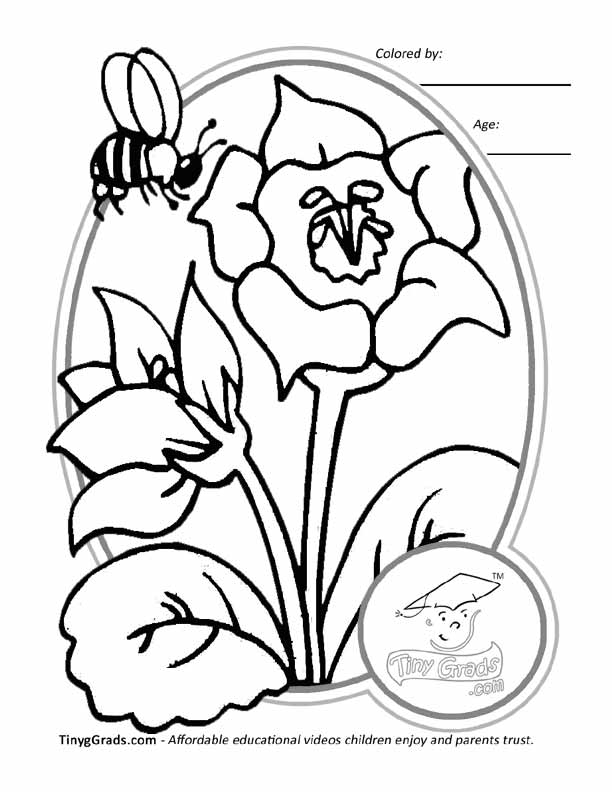 flowers and rivers Colouring Pages (page 2)
