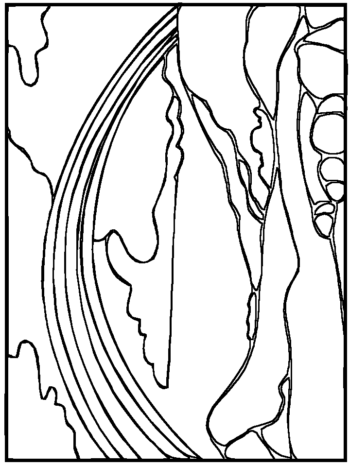 Rainbows Rainbow3 Bible Coloring Pages & Coloring Book