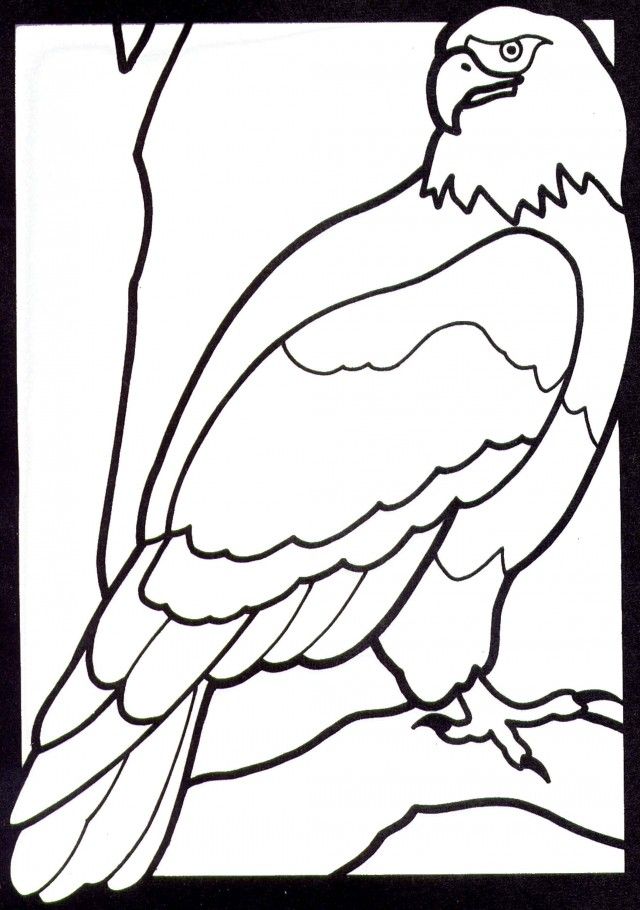 Bald Eagle Coloring 2014 Eagle Coloring Sheet Kids Coloring 126515 