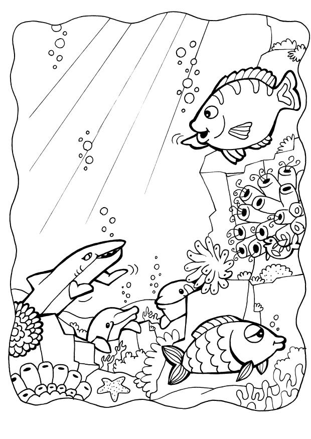 Coloring Pages Of Fish For Kids | download free printable coloring 