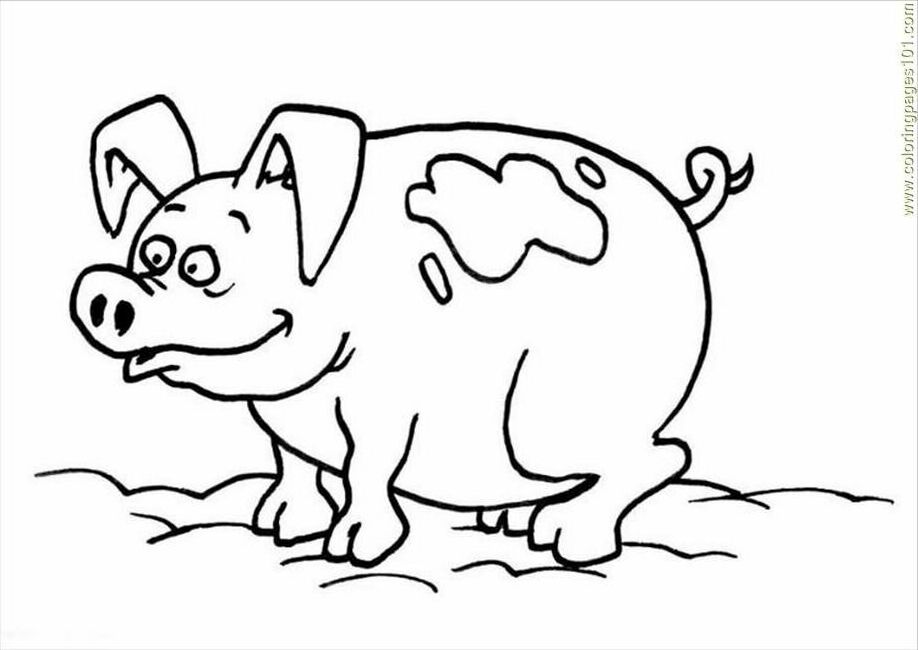Coloring Pages Ctures Pages Photo Pig P (Mammals > Pig) - free 