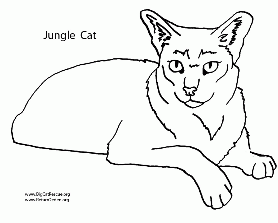 Jungle Animal Coloring Pages Jungle Animal Coloring Pages Free 