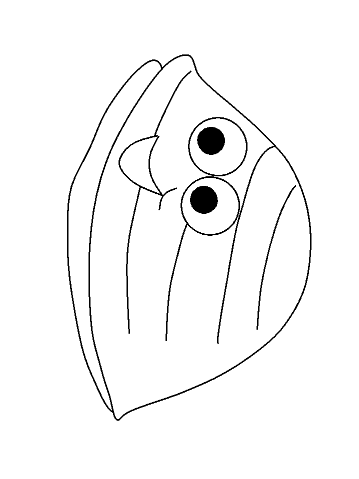 Coloring Page Place :: Ariel Coloring